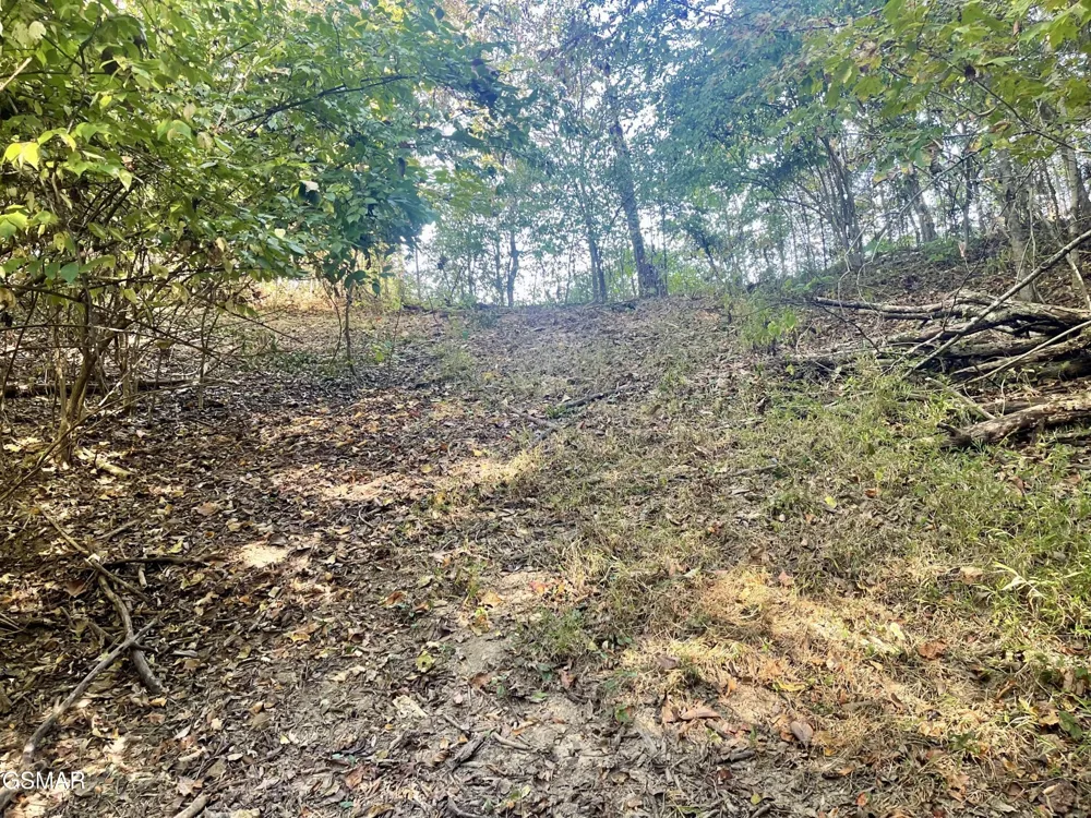 0 Thurman Road Newport, TN 37821