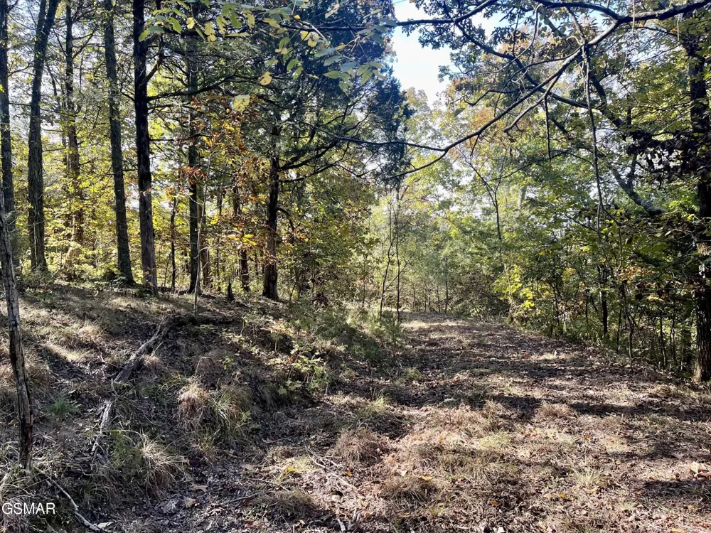 0 Thurman Road Newport, TN 37821