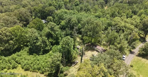 258 Pine Tree Lane