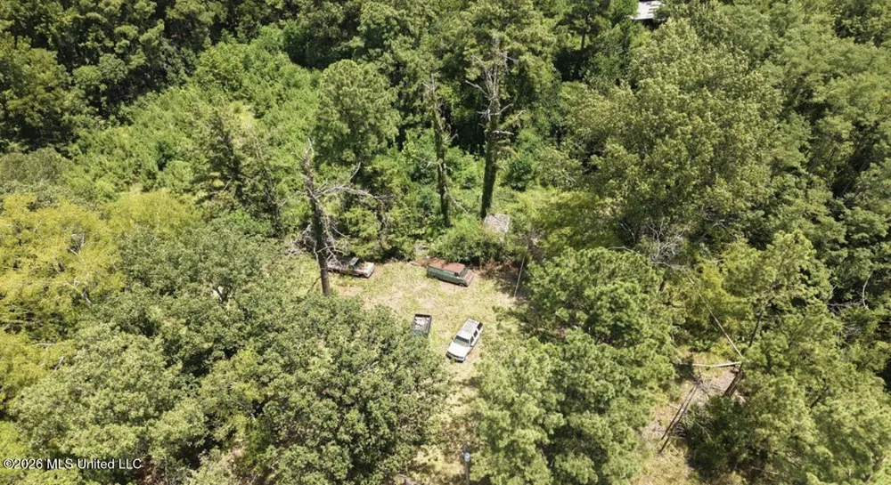 258 Pine Tree Lane Ridgeland, MS 39157