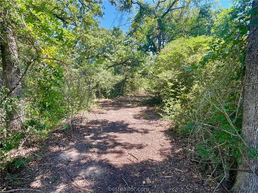 9212 Stetson Drive Normangee, TX 77871