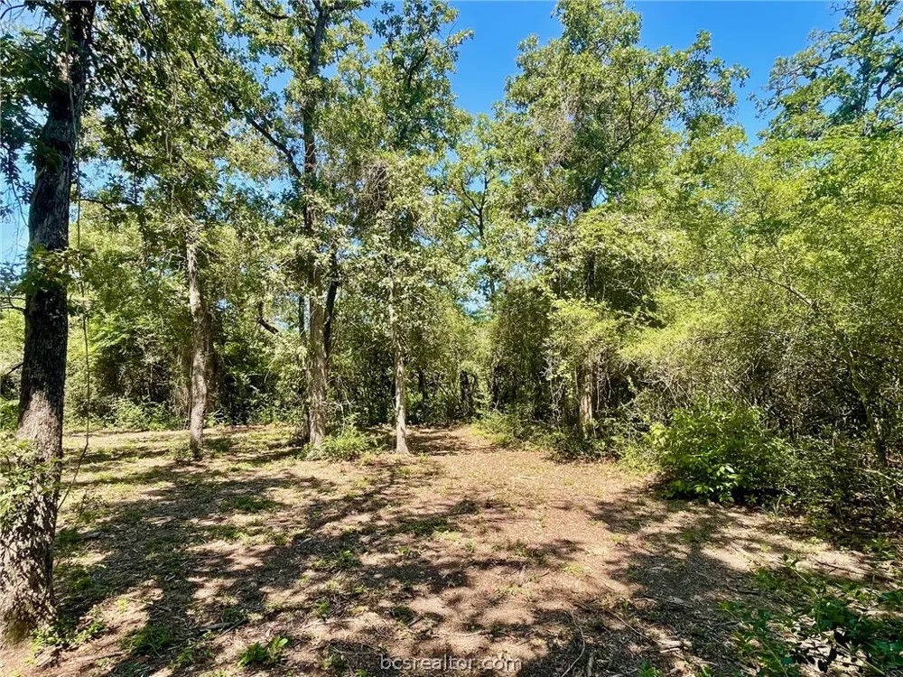 9212 Stetson Drive Normangee, TX 77871