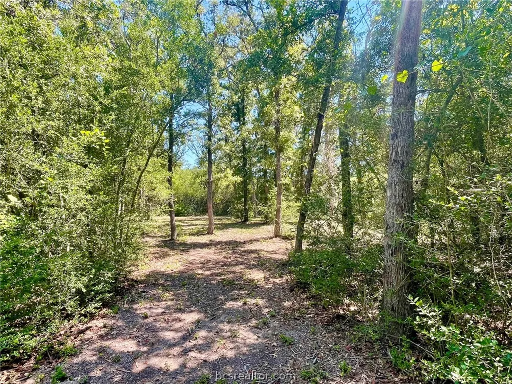 9212 Stetson Drive Normangee, TX 77871