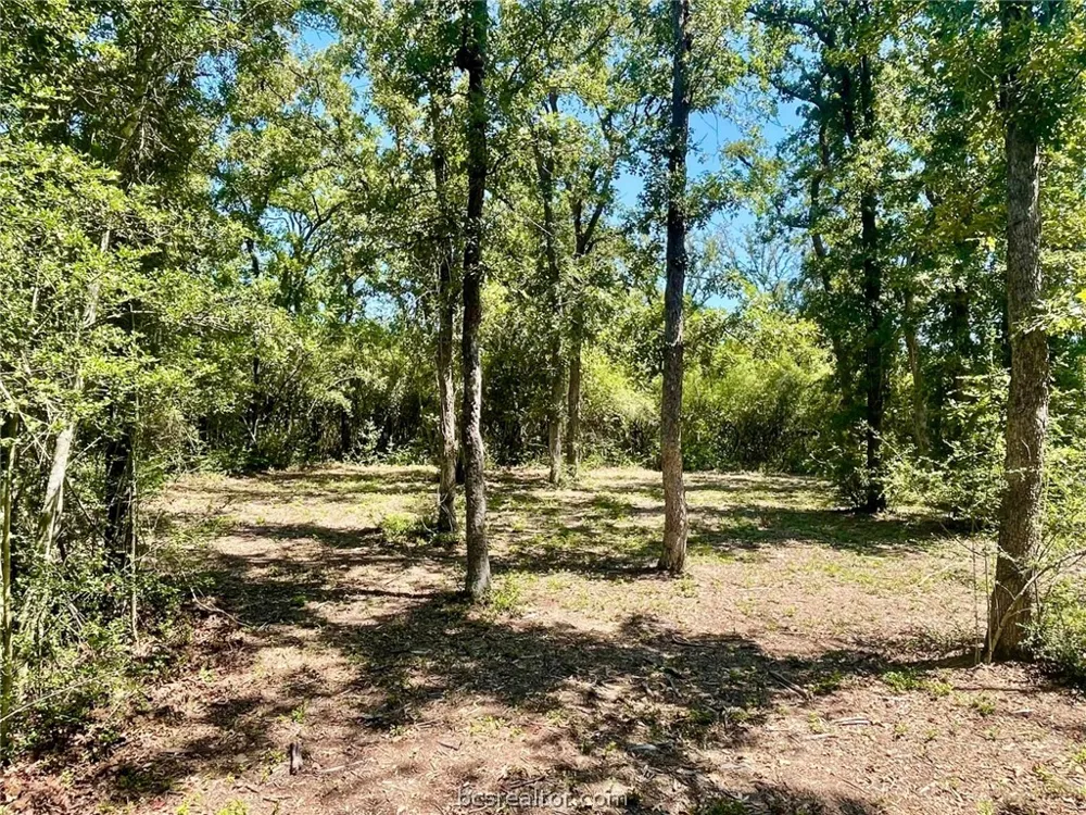 9212 Stetson Drive Normangee, TX 77871