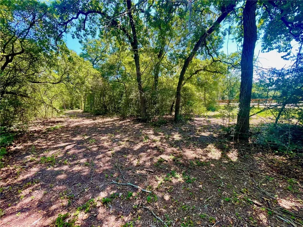 9212 Stetson Drive Normangee, TX 77871