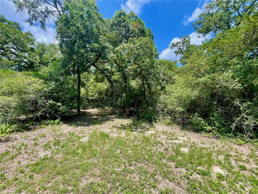 9212 Stetson Drive Normangee, TX 77871