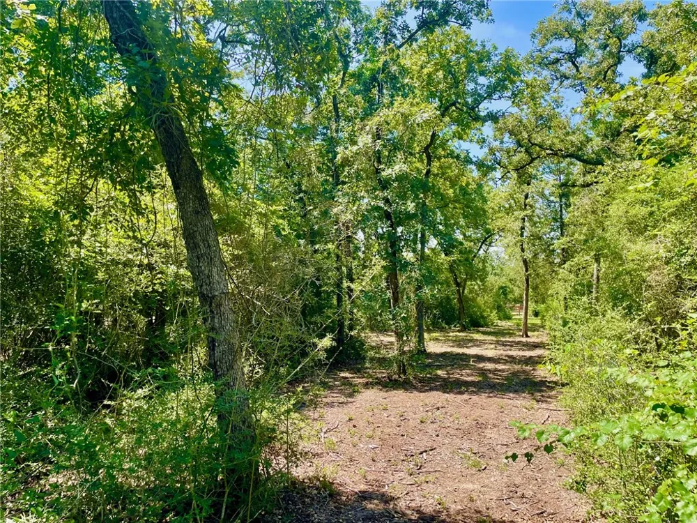 9212 Stetson Drive Normangee, TX 77871