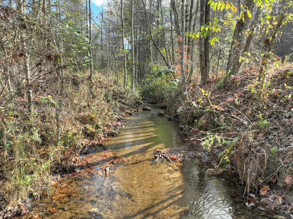 203 Buck Creek Trail Epworth, GA 30541
