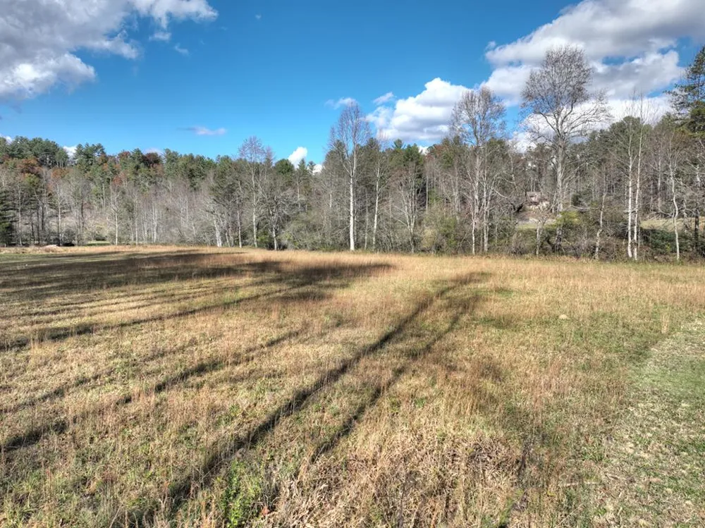 203 Buck Creek Trail Epworth, GA 30541