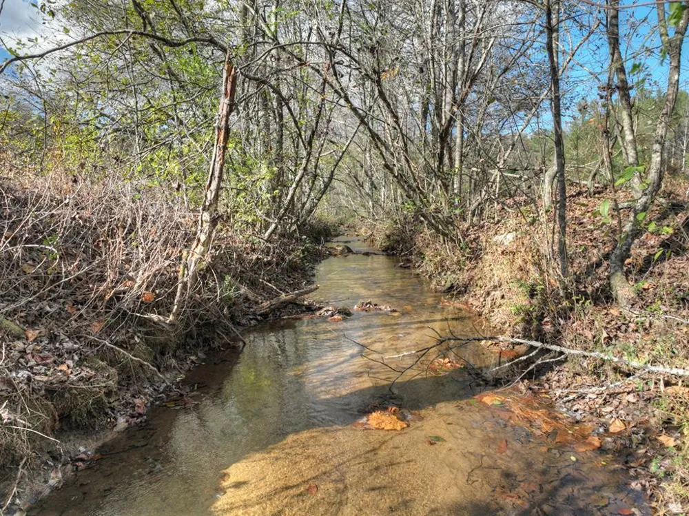 203 Buck Creek Trail Epworth, GA 30541