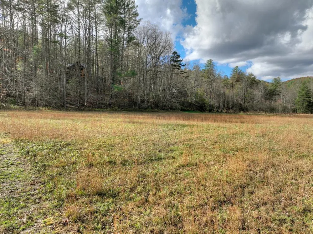 203 Buck Creek Trail Epworth, GA 30541
