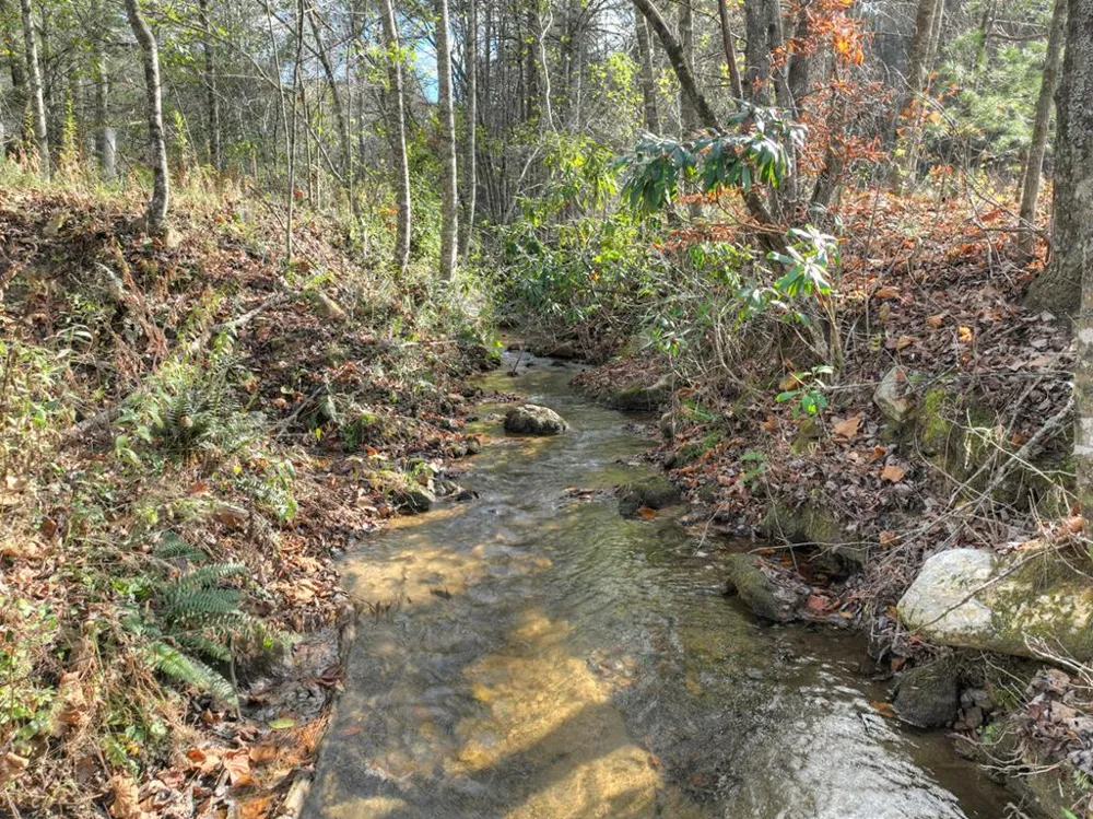 203 Buck Creek Trail Epworth, GA 30541