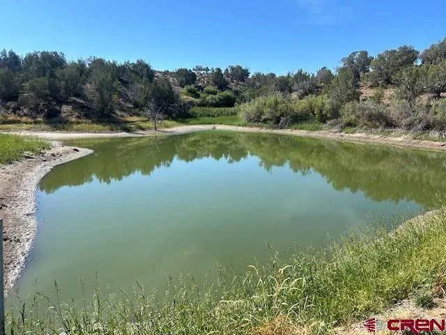 38722 Yeoman Road Crawford, CO 81415