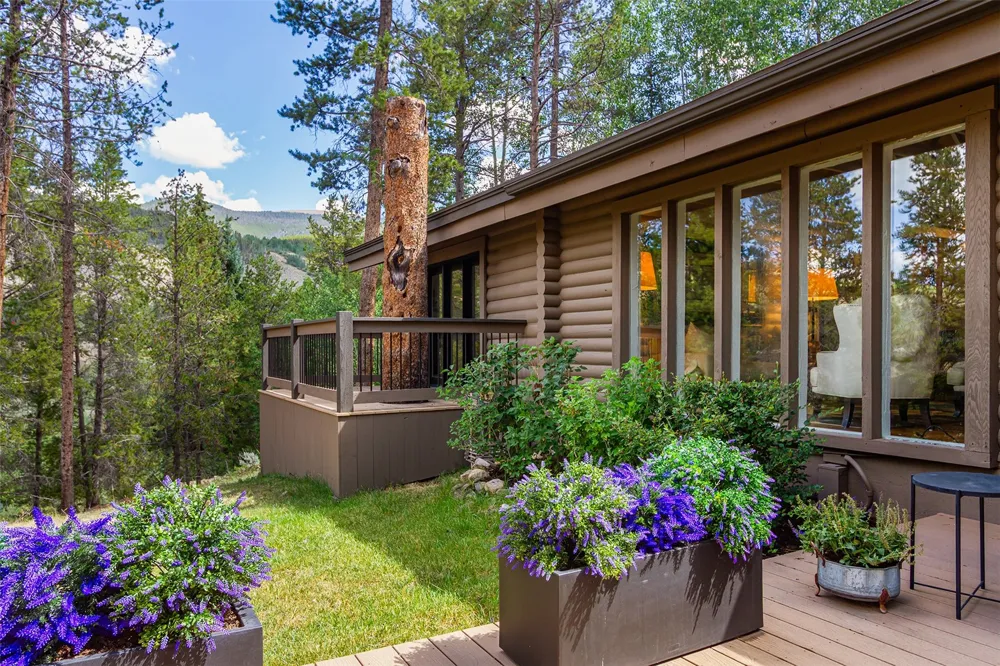 23 Wild Irishman Lane Keystone, CO 80435
