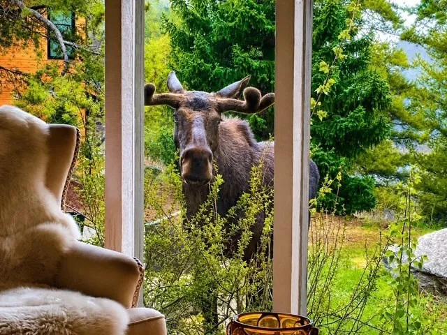 23 Wild Irishman Lane Keystone, CO 80435