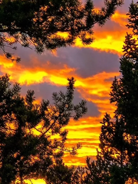 23 Wild Irishman Lane Keystone, CO 80435