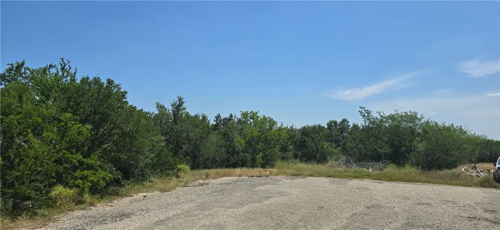 3088 County Road 3088 Orange Grove, TX 78372