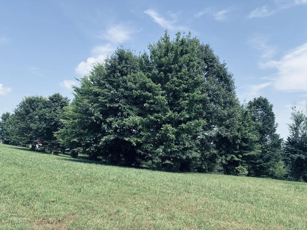 800 Sunset Circle Jasper, TN 37347