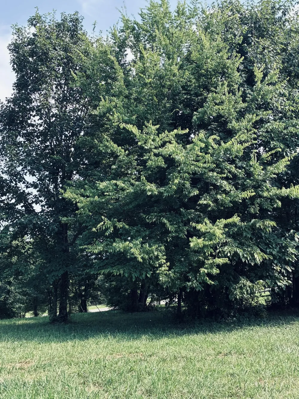 800 Sunset Circle Jasper, TN 37347