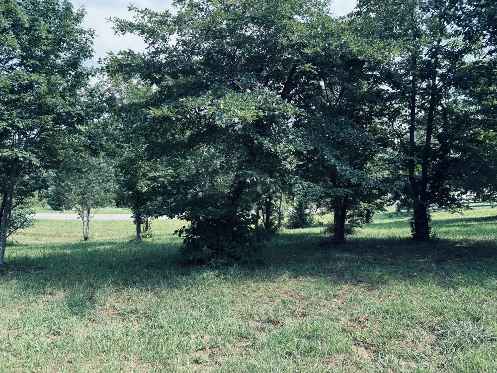 800 Sunset Circle Jasper, TN 37347
