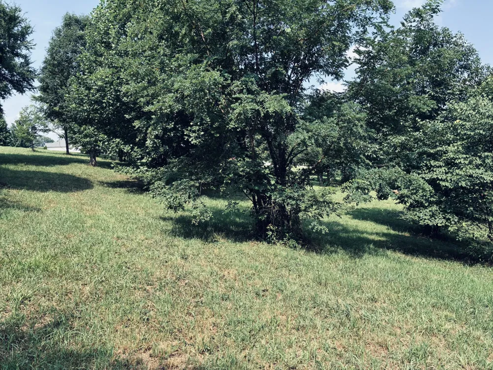 800 Sunset Circle Jasper, TN 37347
