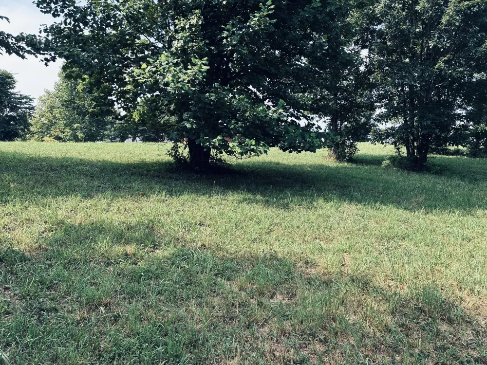 800 Sunset Circle Jasper, TN 37347