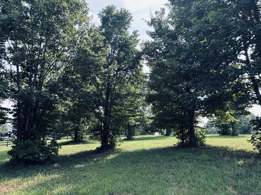 800 Sunset Circle Jasper, TN 37347