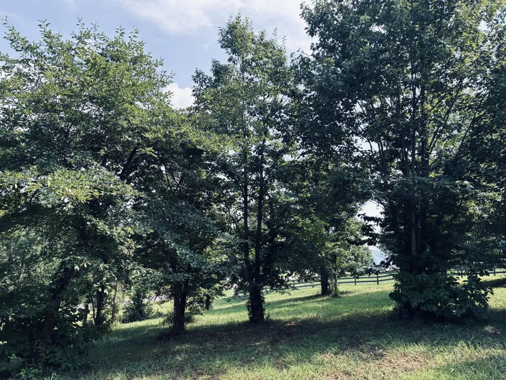 800 Sunset Circle Jasper, TN 37347