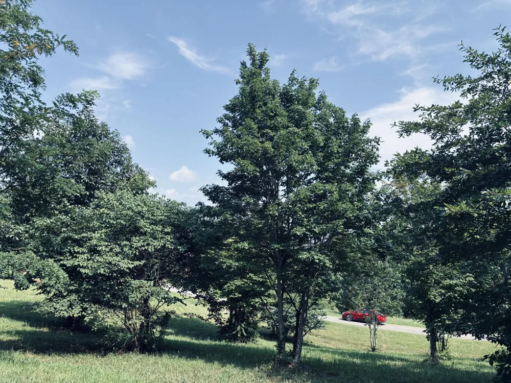 800 Sunset Circle Jasper, TN 37347