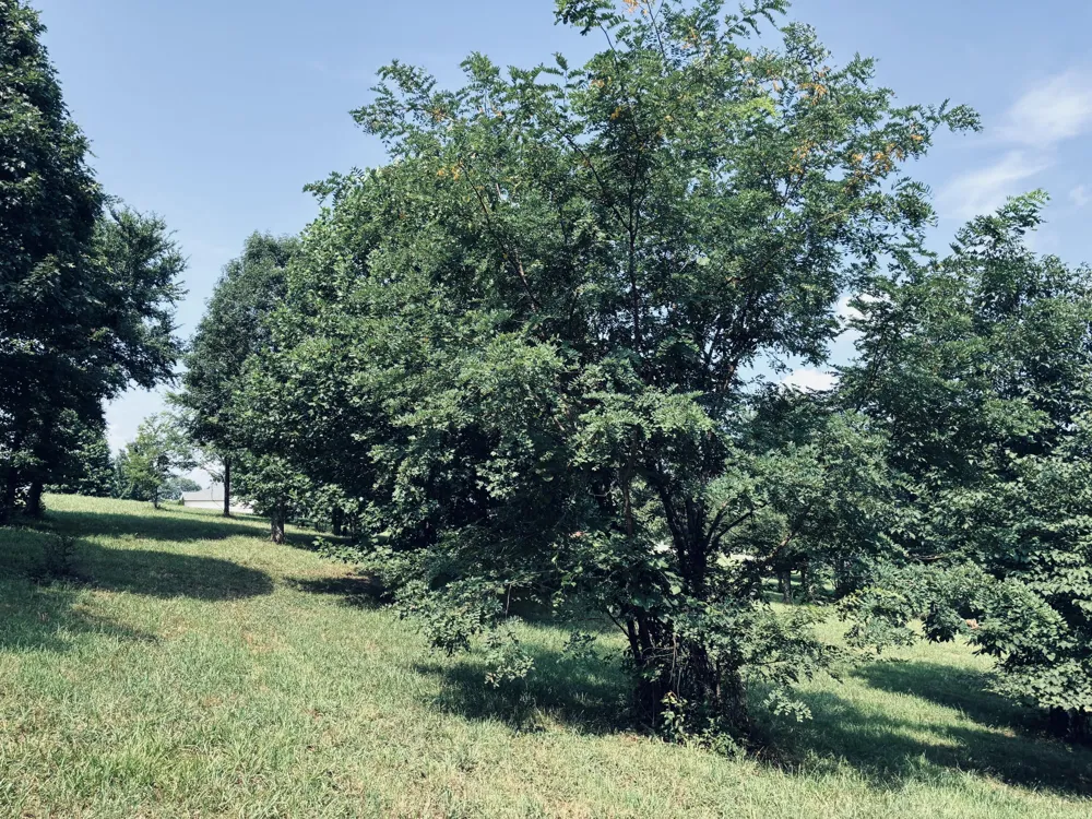 800 Sunset Circle Jasper, TN 37347