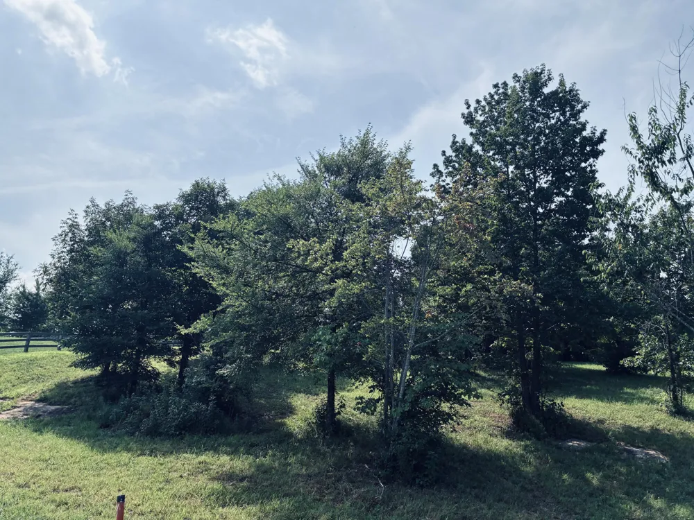 800 Sunset Circle Jasper, TN 37347