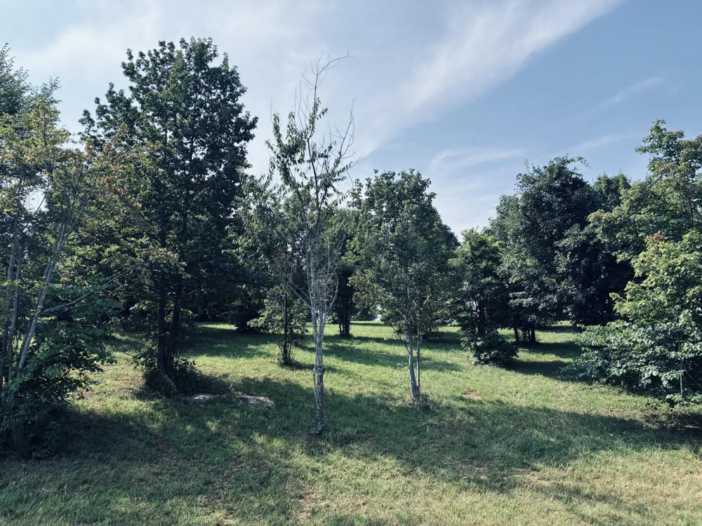 800 Sunset Circle Jasper, TN 37347