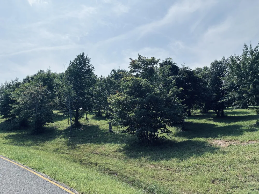 800 Sunset Circle Jasper, TN 37347