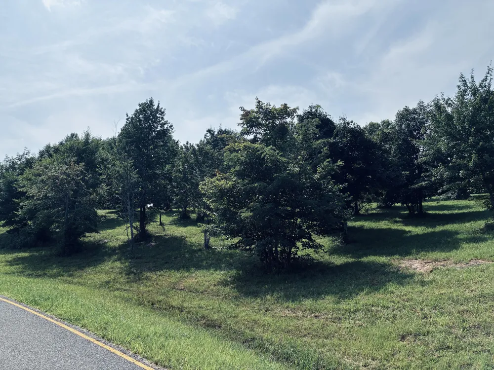 800 Sunset Circle Jasper, TN 37347