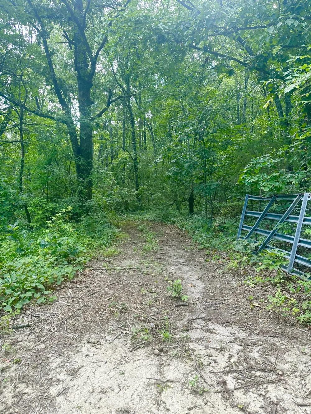 New Ridge &  Newt Johnson Road Chickamauga, GA 30707