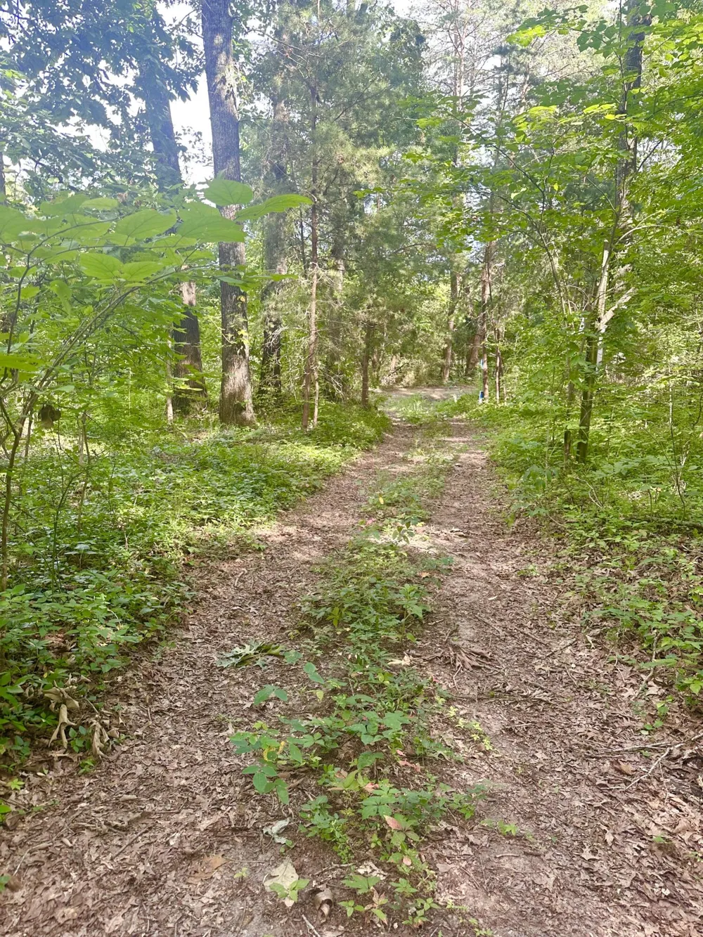 New Ridge &  Newt Johnson Road Chickamauga, GA 30707