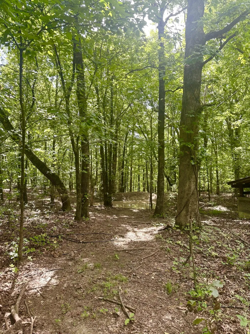 New Ridge &  Newt Johnson Road Chickamauga, GA 30707