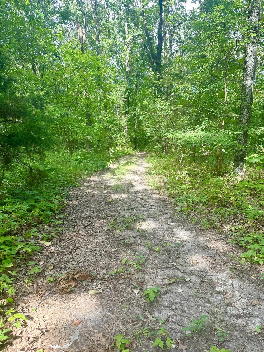 New Ridge &  Newt Johnson Road Chickamauga, GA 30707
