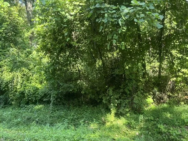 8821 Gann Road Soddy Daisy, TN 37379