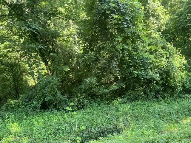 8821 Gann Road Soddy Daisy, TN 37379