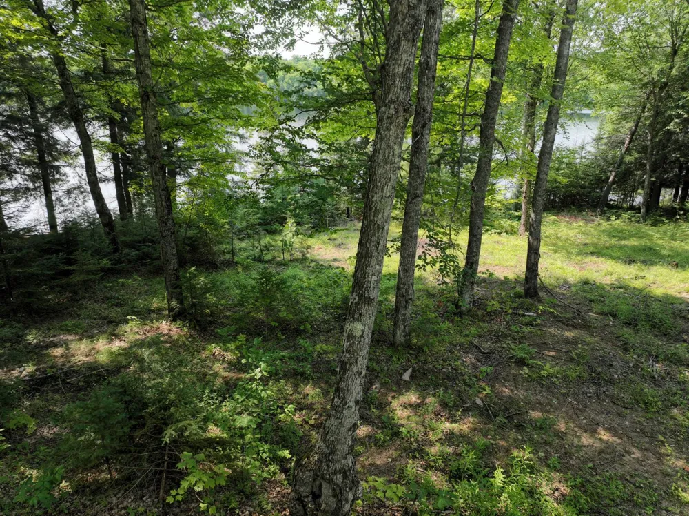 Lot 1 Little Smoky Lk Est Iron River, MI 49935