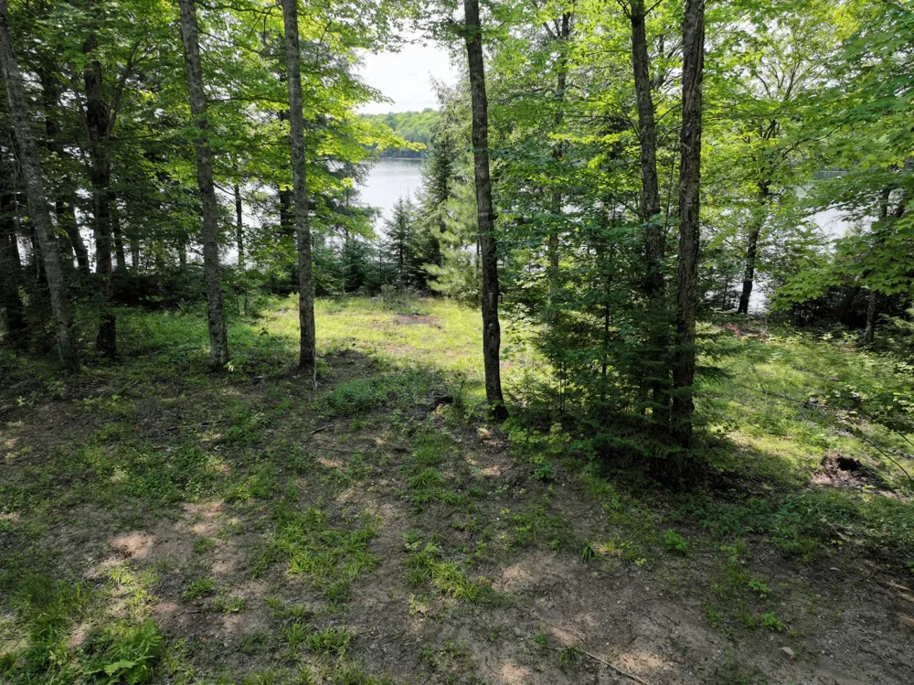 Lot 1 Little Smoky Lk Est Iron River, MI 49935