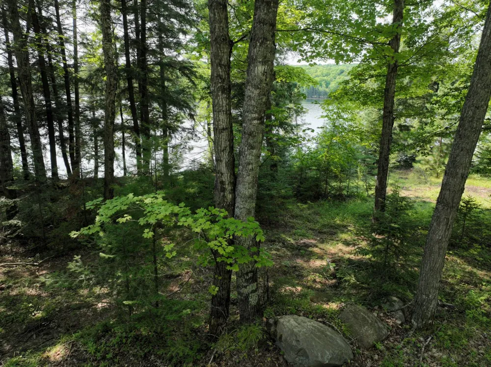 Lot 1 Little Smoky Lk Est Iron River, MI 49935