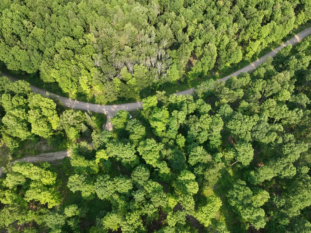 Lot 1 Little Smoky Lk Est Iron River, MI 49935