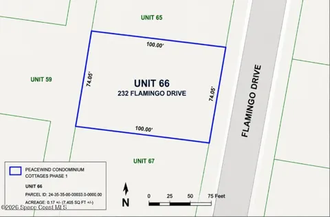 232 Flamingo Drive