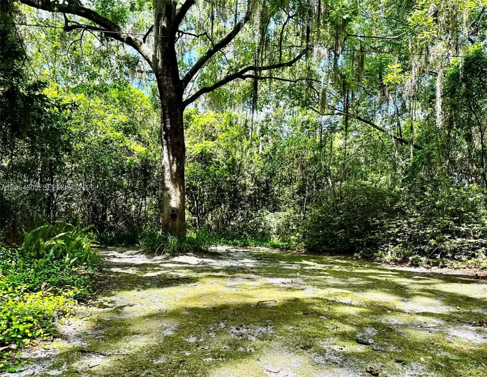 717 NE Boulevard Gainesville, FL 32601