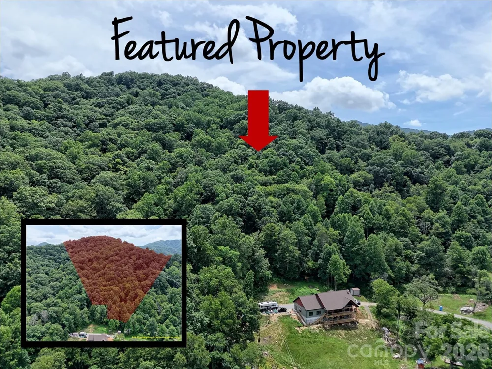 00 Wayward Cove Clyde, NC 28721