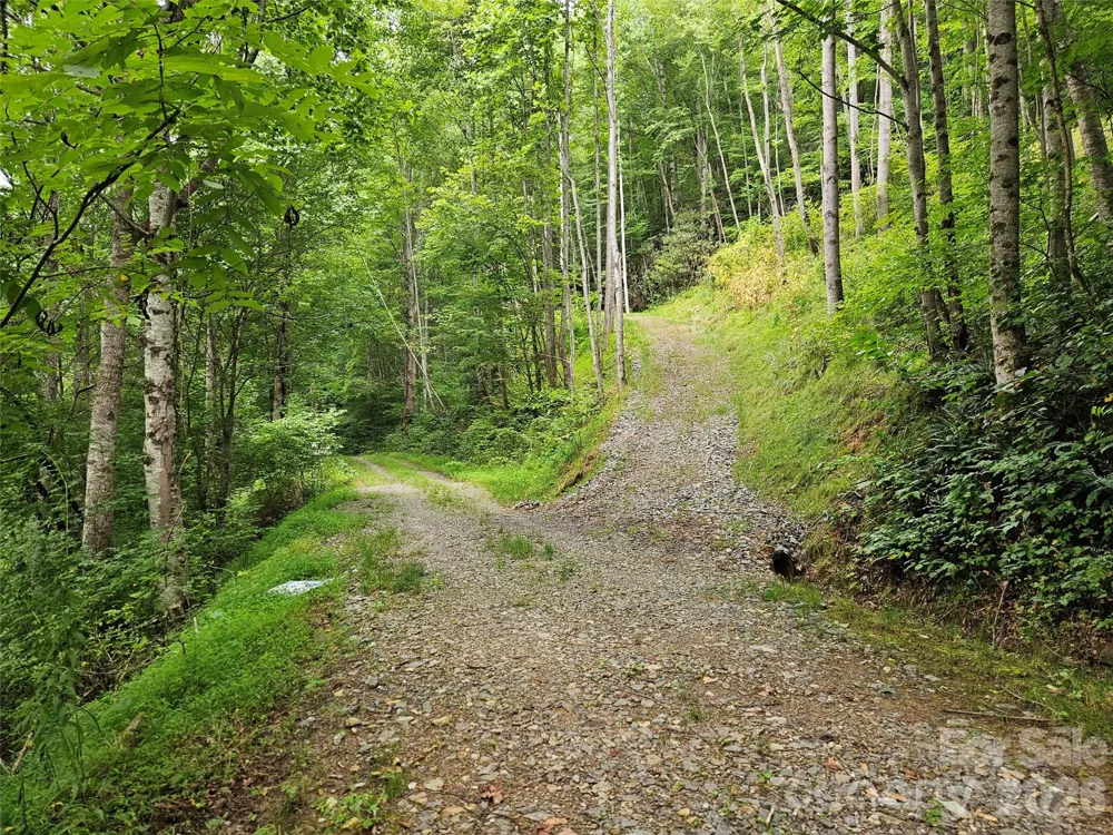 00 Wayward Cove Clyde, NC 28721