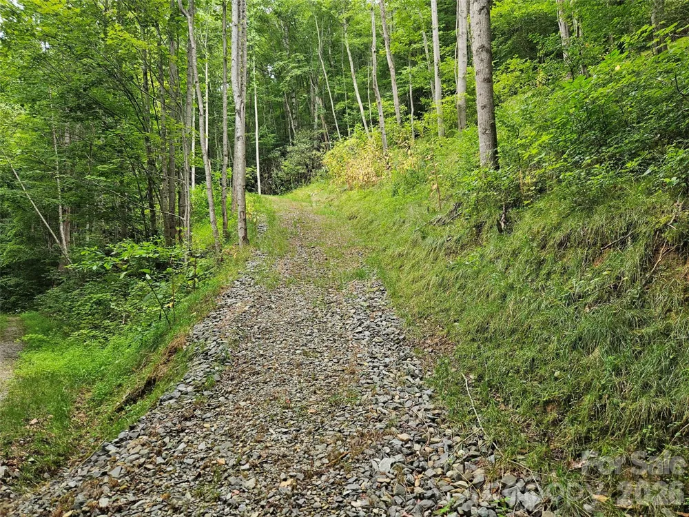 00 Wayward Cove Clyde, NC 28721