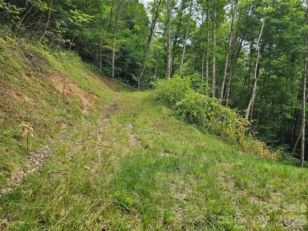 00 Wayward Cove Clyde, NC 28721